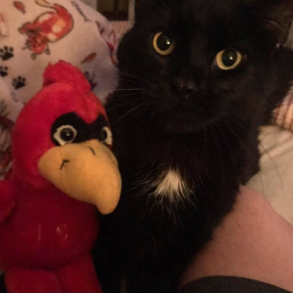 Meet your Posher, Kimberly